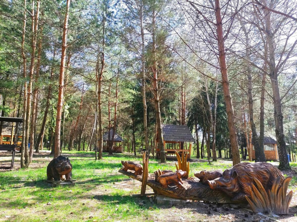 Мисливець В Комплексі "Сокіл" Hotel Susk Buitenkant foto